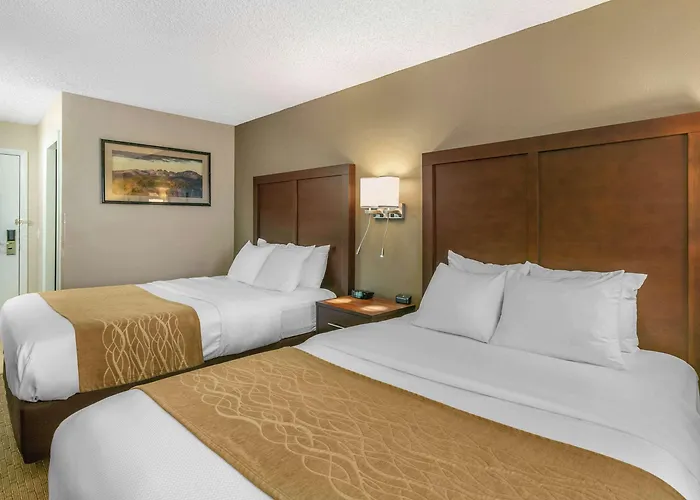 Hotel Comfort Hwy 16 To Yellowstone